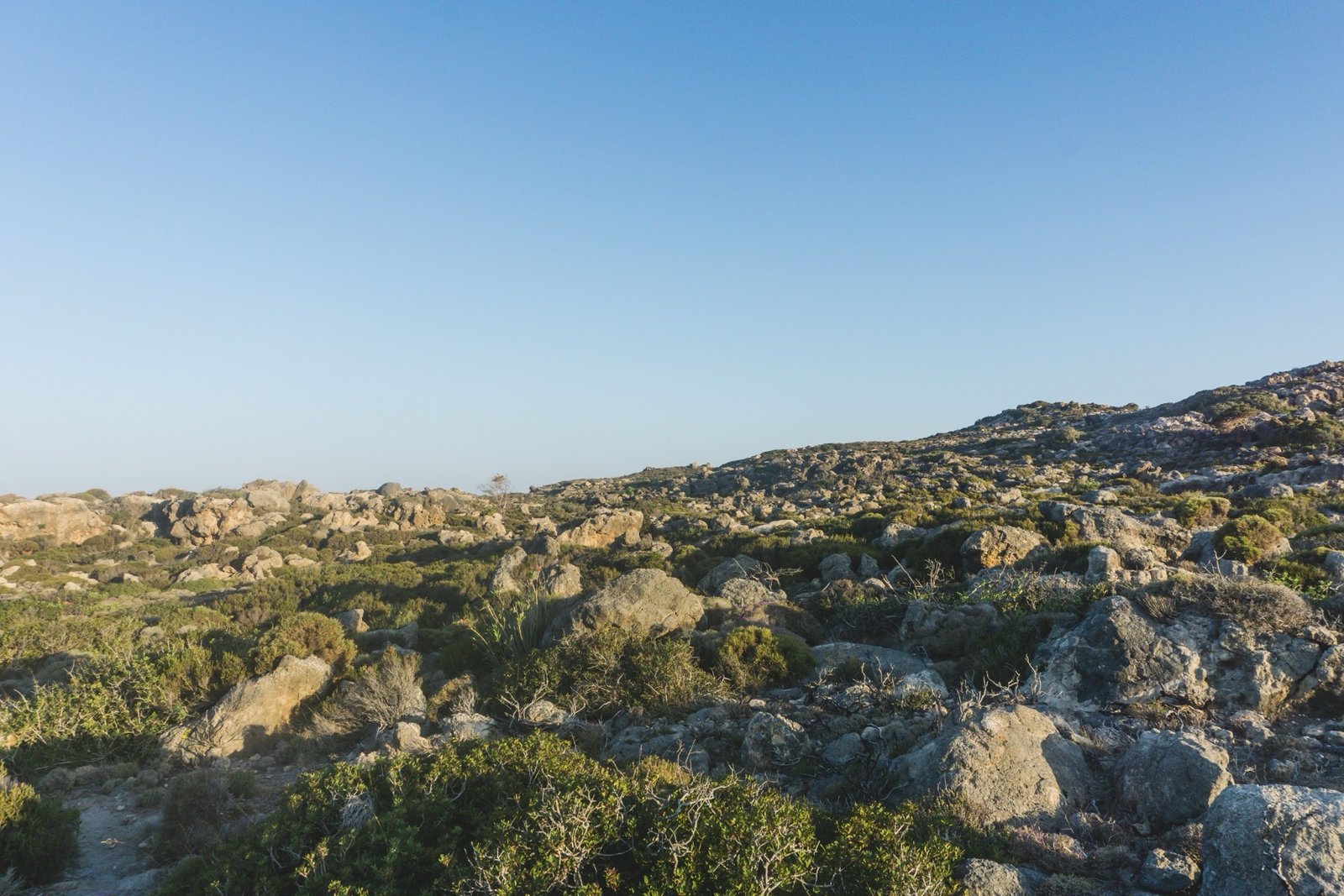 Natuur rond de villa 1